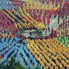 Điệu múa xòe ô cổ truyền Trung Quốc lập kỷ lục thế giới