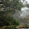 Siêu bão Rammasun đổ bộ vào Trung Quốc, 1 người thiệt mạng