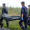 Bắt đầu công tác nhận dạng nạn nhân vụ rơi máy bay MH17