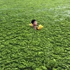 Hình ảnh gây sốc về mức độ ô nhiễm môi trường ở Trung Quốc