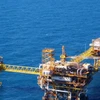 Tập đoàn dầu khí Mexico phát hiện giếng dầu có trữ lượng lớn