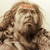 Người Neanderthal có thể đã giao phối với tổ tiên của loài người