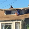 Một người phụ nữ leo lên mái nhà để trốn kẻ lạ mặt đột nhập