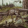 Tìm thấy hóa thạch của loài khủng long ăn thịt ở Nam Mỹ