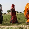 Ít nhất 8 phụ nữ Ấn Độ thiệt mạng sau phẫu thuật triệt sản