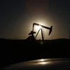 Nga không có kế hoạch cắt giảm sản lượng dầu mỏ để hỗ trợ giá