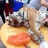 Doanh nhân Trung Quốc lĩnh 13 năm tù vì ăn thịt ba con hổ