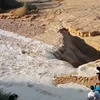 [Photo] Cận cảnh sự hồi sinh của sông Zin ở Israel sau hạn hán