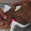 Nicaragua phát hiện hàng nghìn cổ vật khi thi công kênh đào