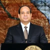 Tổng thống Ai Cập ban hành sắc lệnh mở rộng chống khủng bố