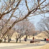 Chiêm ngưỡng khu lăng mộ và đài thiên văn cổ nhất Hàn Quốc