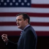 Thượng nghị sỹ Cộng hòa Ted Cruz tuyên bố tranh cử Tổng thống Mỹ