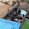 Tranh cãi sau vụ hổ vồ chết người tại vườn thú ở Trung Quốc