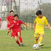 Huấn luyện viên phó của U15 Hà Nội T&T bị đình chỉ 4 trận