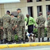 Đại sứ quán Mỹ tại Jamaica đóng cửa vì phát hiện vật lạ