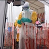 Tín hiệu tích cực trong cuộc chiến chống virus Ebola ở Tây Phi