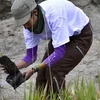 Ecuador phá vỡ kỷ lục Guinness về trồng rừng của Philippines