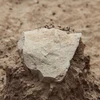 Phát hiện công cụ đá đầu tiên của loài người cách đây 3,3 triệu năm
