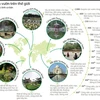 [Infographics] Các khu vườn đẹp nhất thế giới khiến bạn mê mẩn