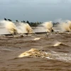 Áp thấp mạnh lên thành bão, vùng biển Hoàng Sa gió mạnh cấp 6-7