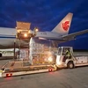 TQ lập hãng vận chuyển hàng hóa đường không hàng đầu châu Á