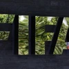 Tổ chức Minh bạch Quốc tế: FIFA cần chấm dứt "văn hóa tham nhũng"