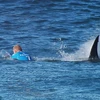 Mick Fanning thoát chết thần kỳ trước hàm cá mập. (Nguồn: AFP/Getty Images)