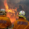 Cháy rừng ở Australia. (Nguồn: abc.net.au)