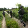 Khu vực phi quân sự (DMZ) giữa hai miền Triều Tiên. (Nguồn: AP)