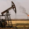 Nguồn cung dầu mỏ dư thừa tác động đến Algeria. (Nguồn: AFP/Getty Images)