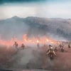 Lính cứu hõa nỗ lực dập tắt cháy rừng tại thị trấn Twisp thuộc tiểu bang Washington. (Nguồn: kulr8.com)