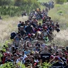 Dòng ​người di cư tại khu vực biên giới Hungary-Croatia ngày 21/9. (Nguồn: AFP/TTXVN)