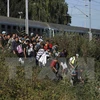 Người di cư tại khu vực biên giới Hungary-Croatia ngày 23/9. (Nguồn: Reuters/TTXVN)
