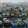 Tàu thuyền đánh cá đã trở về neo đậu. (Nguồn: chinanews.com)