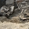 Phát hiện xương người từ thời kỳ Đồ đá mới được tìm thấy trong hố chôn tập thể. (Nguồn: Reuters)