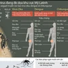 [Infographics] Ba loại virus đang đe dọa khu vực Mỹ Latinh