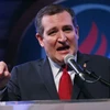 Thượng nghị sỹ đảng Cộng hòa Ted Cruz. (Nguồn: Getty Images)