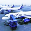 Trên 10 chuyến bay của hãng hàng không nội địa IndiGo bị dọa đánh bom. (Nguồn: indianexpress)