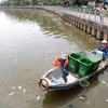 Các đội dịch vụ công ích của quận và thành phố tiến hành vớt cá chết để đảm bảo vệ sinh môi trường cho tuyến k