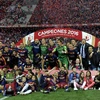 Barcelona lần thứ 28 vô địch Cúp Nhà vua Tây Ban Nha. (Nguồn: AFP/Getty Images)