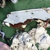 Nhà chức trách đã vớt nhiều mảnh vỡ được cho là của chiếc máy bay xấu số (Nguồn: RT)