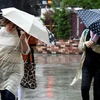 Nhật Bản chịu ảnh hưởng bởi bão Mindulle. (Nguồn: AFP)