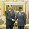 Chủ tịch nước Trần Đại Quang hội kiến với Quốc vương Haji Hassanal Bolkiah Mu’izzaddin Waddaulah. (Ảnh: Nhan Sáng/TTXVN)