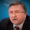 Đại diện thường trực của Nga tại Các tổ chức quốc tế ở Vienna (Áo) Mikhail Ulyanov. (Nguồn: urdupoint)