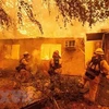 Lính cứu hỏa nỗ lực dập lửa cháy rừng tàn phá một căn hộ tại Paradise, California, Mỹ. (Nguồn: THX/TTXVN)
