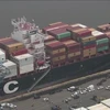 Tàu hàng MSC Gayane, con tàu đã chở 16,5 tấn cocaine. (Nguồn: CNN)