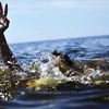 Hai du khách đuối nước khi tắm ở Khu du lịch sinh thái biển Hải Tiến