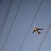 FAA ban hành lệnh khẩn cấp, cấm các hãng hàng không của Mỹ thực hiện các chuyến bay qua không phận do Tehran kiểm soát. (Nguồn: Reuters)