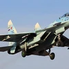 Máy bay chiến đấu Su-27 của Nga. (Nguồn: defenseworld.net)