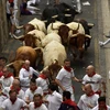 [Video] Kinh hoàng cảnh bò tót rượt đuổi người dự lễ hội San Fermin